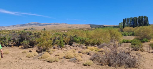 Venta Campo Aluminé