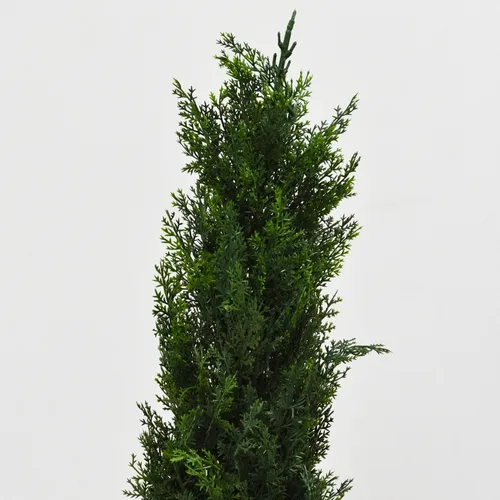 Planta Artificial Pino Con Maceta 0,9 Mts Decoracion Mli Color Verde