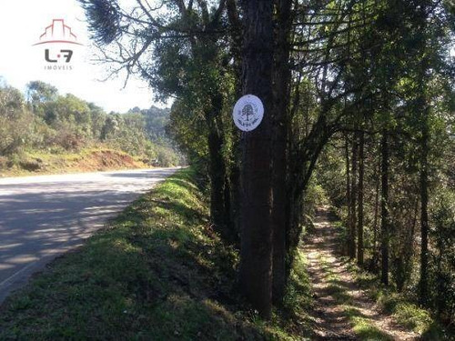 Imagem 9 de 12 de Área À Venda, 360000 M² Por R$ 1.500.000,00 - Centro - Bocaiúva Do Sul/pr - Ar0003