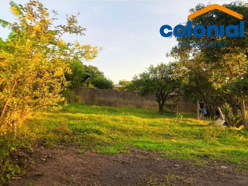 Imagem 6 de 7 de Oportunidade - Chácara 1000m² - Te00361 - 70522760