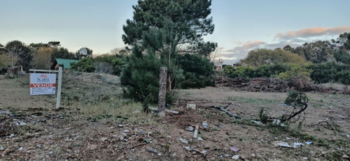 Venta De Lotes En San Bernardo 600m2 Últimos Lotes