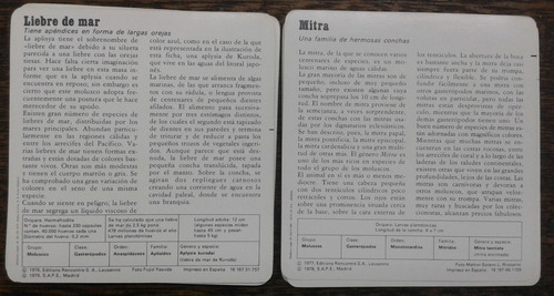 Imagen 2 de 3 de 42 Fichas Sobre Moluscos * Para Estudio *