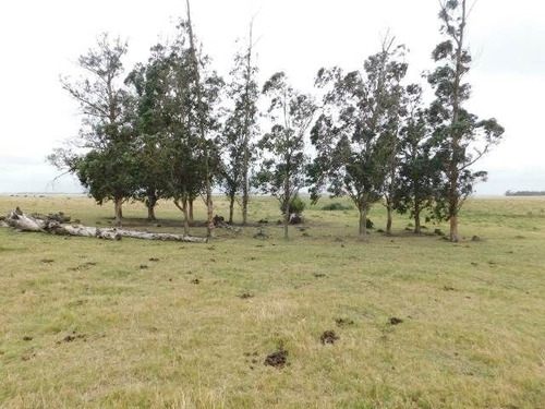 Imagen 9 de 15 de Quinta En Venta En Maldonado