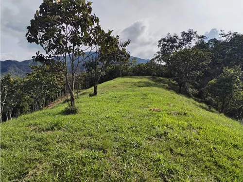 Lote En Venta, Los Cedros, Cocorná