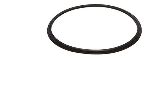 Anel Borracha Vedacao Tampa Portinhola Tanque Corsa Classic