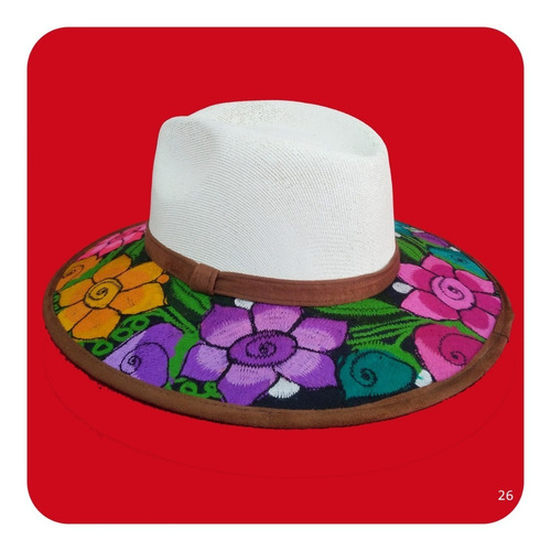 Imagen 2 de 10 de Elegante Sombrero Artesanal De Gamuza Bordado Mediano 3