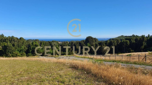 Imagen 2 de 24 de Parcelas, Molino De Puerto Octay, Urbanizadas, 1.850 Uf