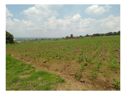Imagen 6 de 8 de Se Vende Terreno En San Miguel Tepotzotlán