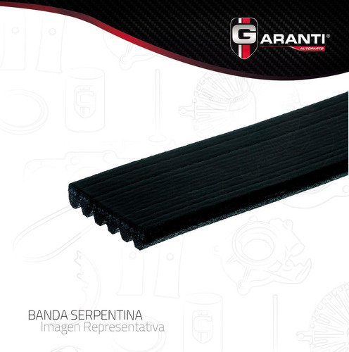 Banda V Para Ford Mustang 1988 - 2014 (garanti)