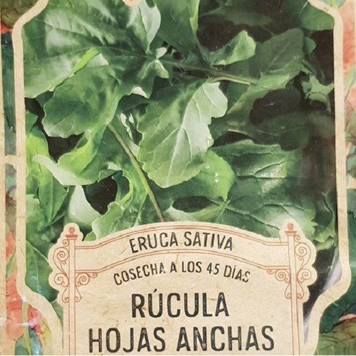 Pack Semillas Rucula Eruca Sativa Hoja Ancha X 400 Semillas