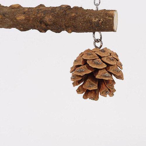 Pájaro De Madera Swing Bird Jage Swing Hanging Gym Gywing