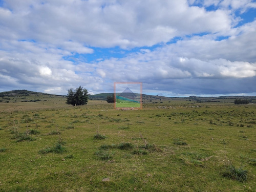 Imagen 3 de 25 de 20has De Campo Sobre Ruta 12 Pueblo Edén