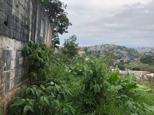 Imagem 2 de 16 de Terreno À Venda, 250 M² - Jardim Nossa Senhora Aparecida - Francisco Morato/sp - Te0034 - 67733520