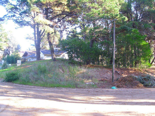 Imagen 1 de 6 de Lote En Venta - Zona Bosque / Ref: 1388