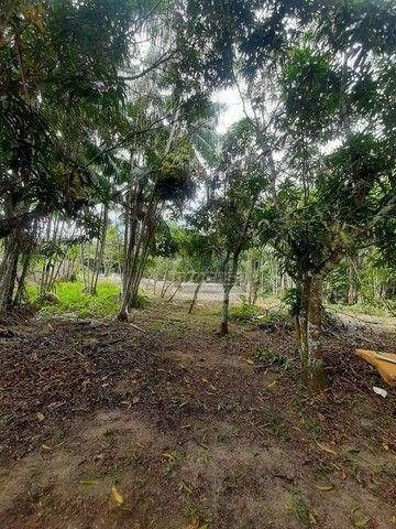 Imagem 3 de 9 de Casa Com 10 Dormitórios À Venda, 5670 M² Por R$ 1.300.000,00 - Tarumã - Manaus/am - Ca4307
