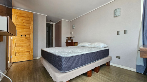 Arriendo Depto 1 Dormitorio Amoblado, Sector Sur