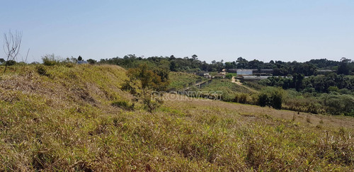 Imagem 5 de 15 de Terreno À Venda, 20000 M² Por R$ 1.600.000,00 - Água Espraiada (caucaia Do Alto) - Cotia/sp - Te9001