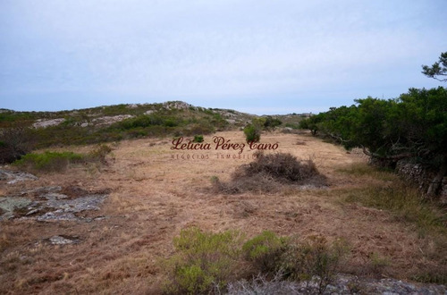 Imagen 9 de 13 de Venta Chacra 5 Has Ruta 39