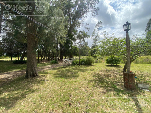 5 Has En Veronica - Chacra En Venta Con Importante Arboleda