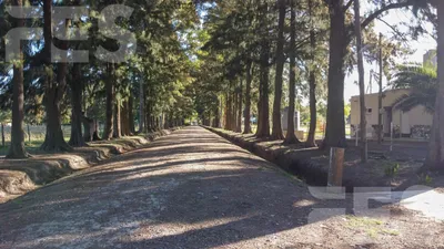 Campo en venta