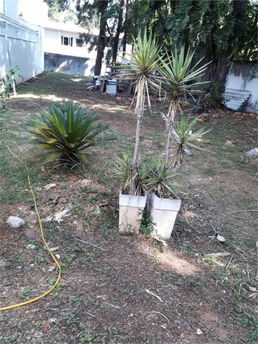 Imagem 9 de 17 de Terreno Granja Julieta? Ao Lado Do Parque Severo Gomes - Reo213015