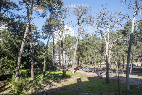 Apartamento En Venta En Avenue Roosevelt, 2 Dormitorios, Bajos Gastos Comunes