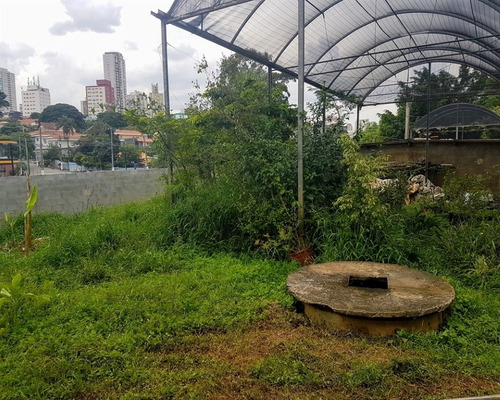 Imagem 4 de 15 de Terreno A Poucos Metros Da Av. Vicente Rao. - Reo50435