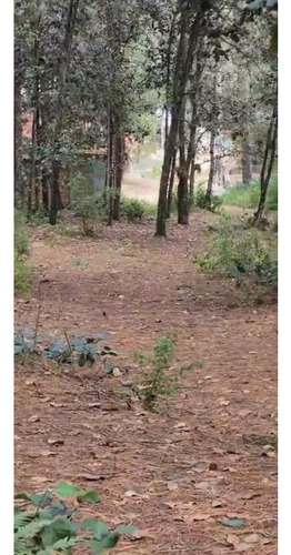 Amplio Terreno Para Cabañas En Los Alcanfores Sclc