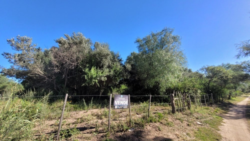 Imagen 24 de 27 de Oportunidad Hermoso Campo Productivo Las Tapias