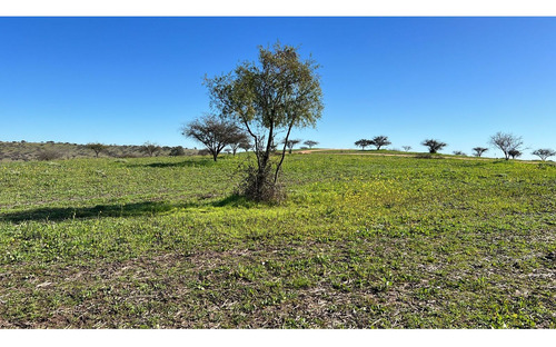 Excelente!! Parcelas De 5.000 M2 Con Rol Propio En "lom
