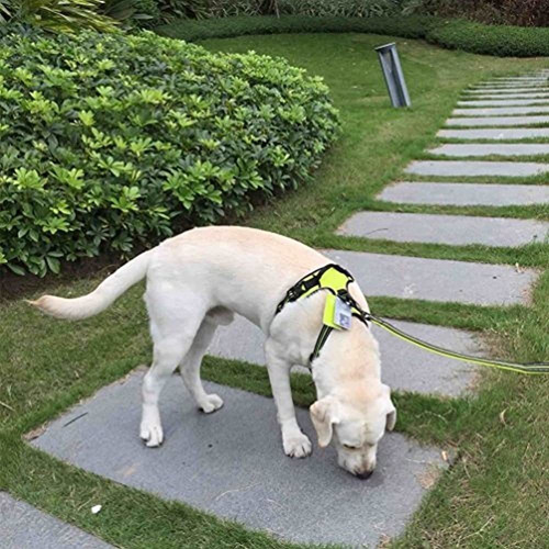 Imagen 5 de 5 de Arnes Para Perros Sgoda Arnes Reflectante Para Mascotas Co