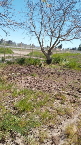 Rebaja Total Parcela En Requinoa A 1 Hora De Santiago