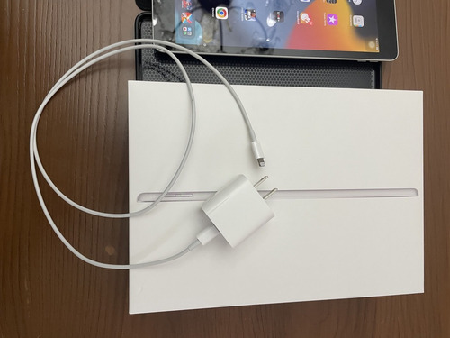Apple iPad (9ª Generación) 10.2 Wi-fi 64gb - Color Plata (Usado)