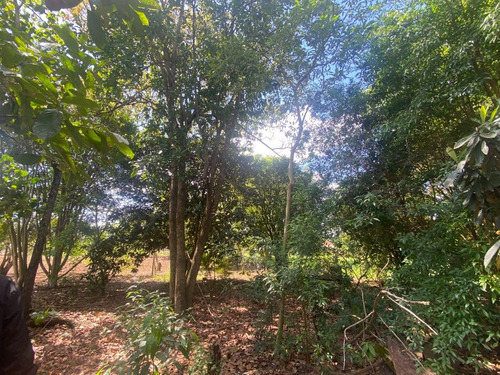 Imagen 11 de 16 de Amplia Casa En Venta Con Gran Terreno.