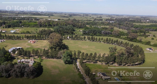 Imagen 2 de 19 de Moderna Casa Quinta A Estrenar En Venta A 1 Hs De Caba - Estancia Las Malvinas - Brandsen