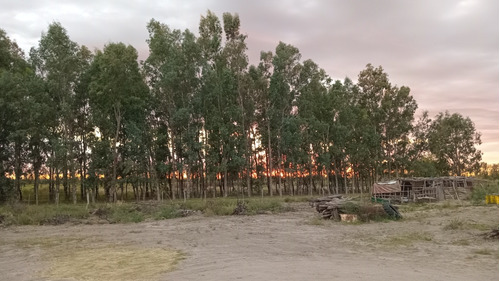Importante Terreno Con Casa Nueva, En San Rafael Mendoza.