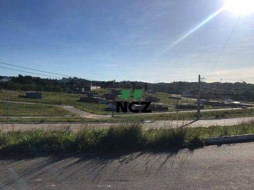 Imagem 9 de 12 de Terreno À Venda, 18000 M² Por R$ 740.000,00 - Ponto Certo - Camaçari/ba - Te0876