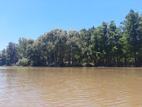Imagen 2 de 7 de Lote De 22x400 En Villa Paranacito Metros Del Pueblo