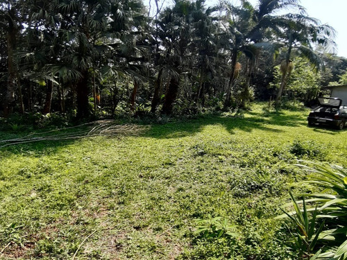 Imagem 8 de 16 de Chácara À Venda Em Juquitiba - 39 - 68515661