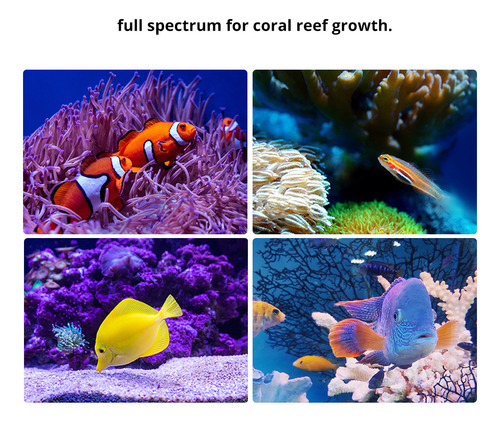 Lámpara De Agua Potencia Lámpara Coral De Espectro Completo