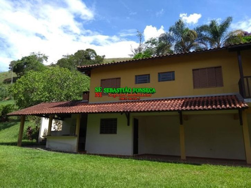 Imagem 4 de 15 de Lindo Sítio Com Nascente E Muita Área Verde - 2002