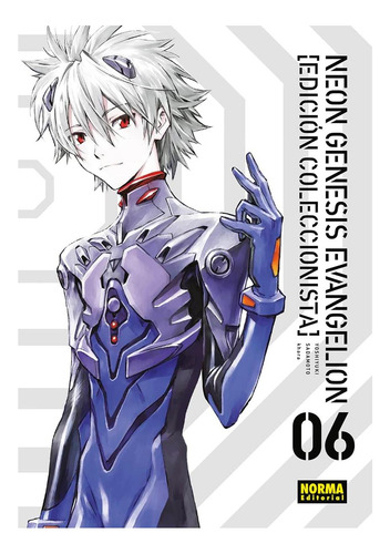 Libro: Neon Genesis Evangelion 06 Ed Coleccionista