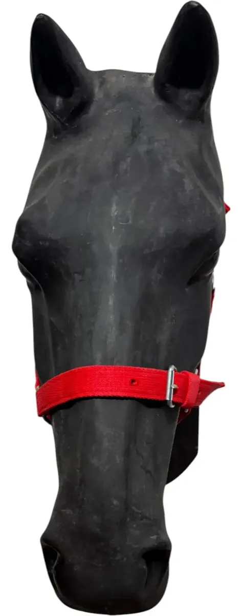 Bozal De Nylon Para Potro Caballo Joven Con Galón Mosquetón Rojo - Imagen 2