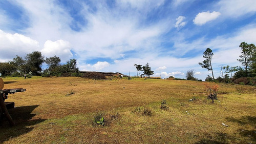 Hermoso Rancho De 10 Hectáreas Con Casa