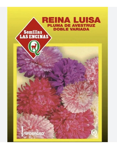 Semillas Certificadas Flor Reina Luisa Pluma Avestruz Orname