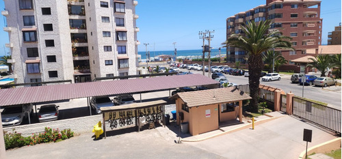 Arriendo Dp. Año Corrido La Serena Sector Avenida Del Mar.