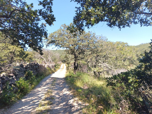 Terreno En Venta En Sierra De Lobos