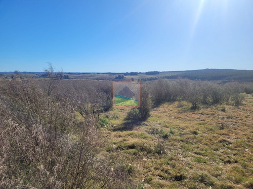Imagen 8 de 20 de 33 Hás De Campo Lavalleja
