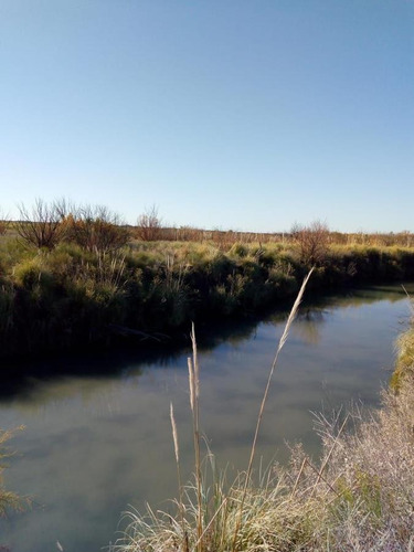 Imagen 15 de 26 de Venta Campo 103 Ha General Alvear