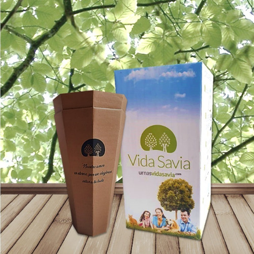 Imagen 1 de 10 de Urnas Para Cenizas Biodegradable Vida Savia